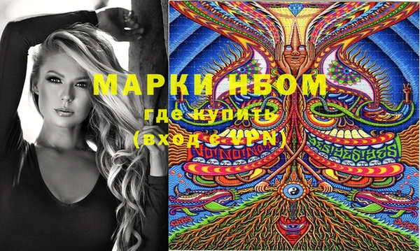 apvp Няндома