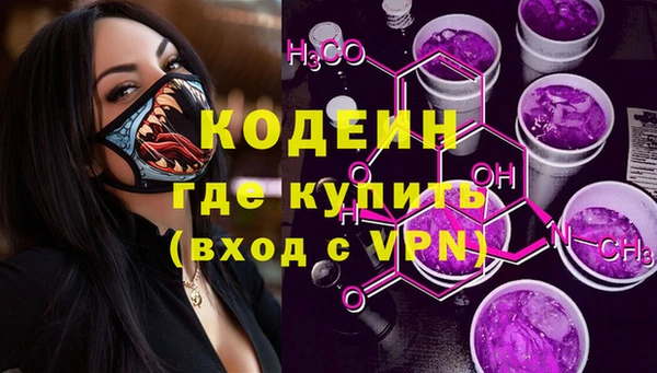 apvp Няндома