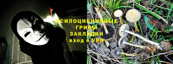 ПСИЛОЦИБИНОВЫЕ ГРИБЫ Всеволожск