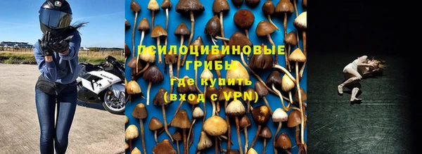 скорость Осинники